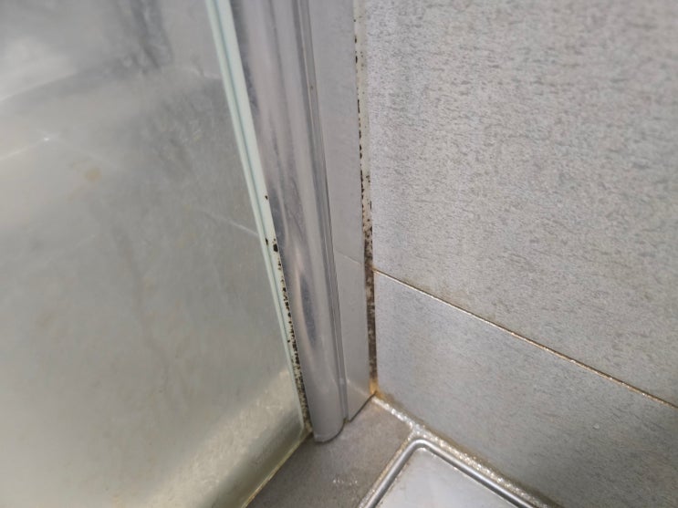  부산북구이사청소 이편한세상금정산 욕실 물때 구석구석 꼼꼼하게