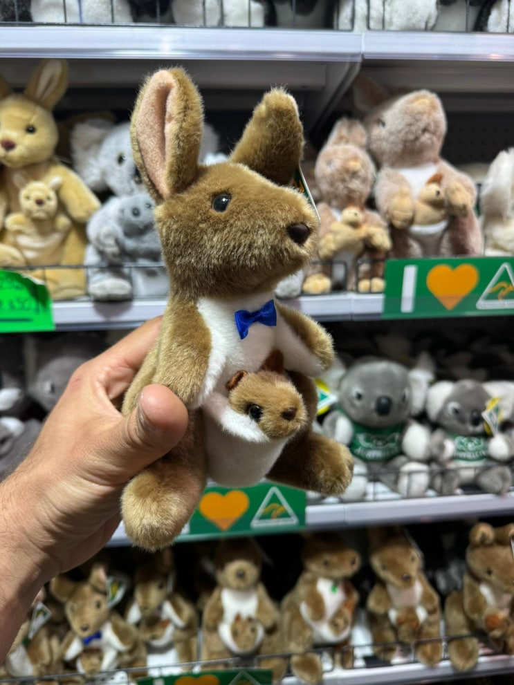  Plush Toys at Sydney Souvenirs! Paddy's Market