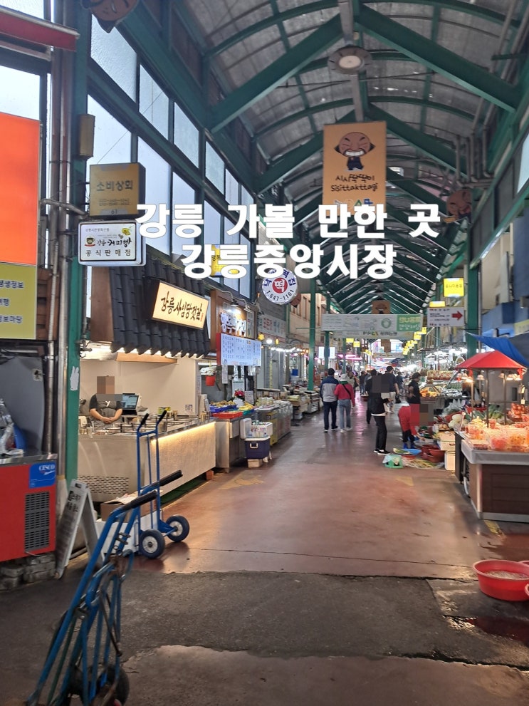 강릉중앙시장 탐방 먹거리 추천 성남칼국수 맛집