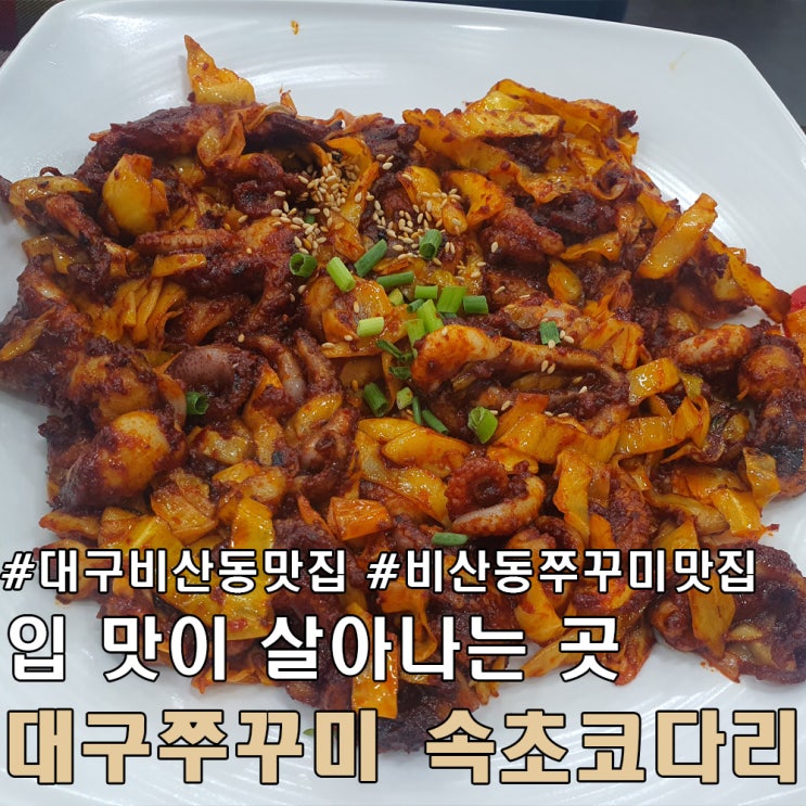  대구 비산동 주꾸미 맛집 대구 주꾸미 속초 코다리