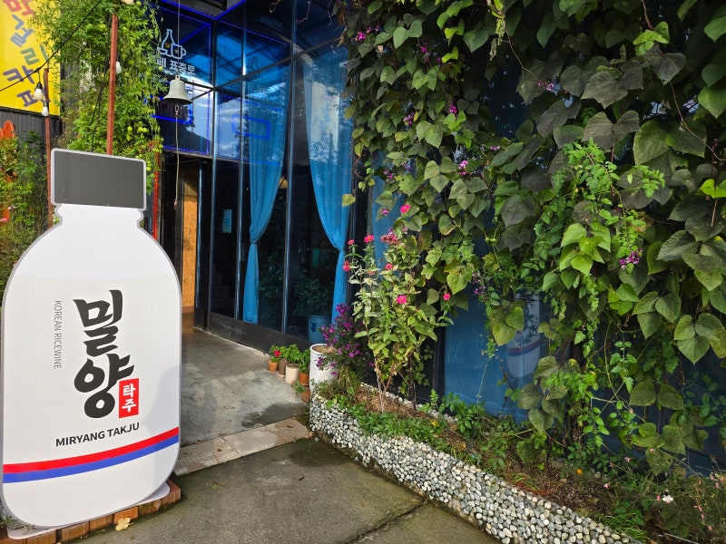 밀양막걸리 '밀양클래식술도가'