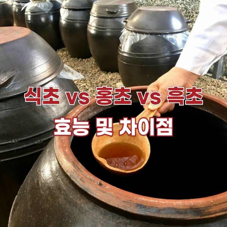  식초 vs 홍초 vs 흑초의 진실과 효능 및 차이점
