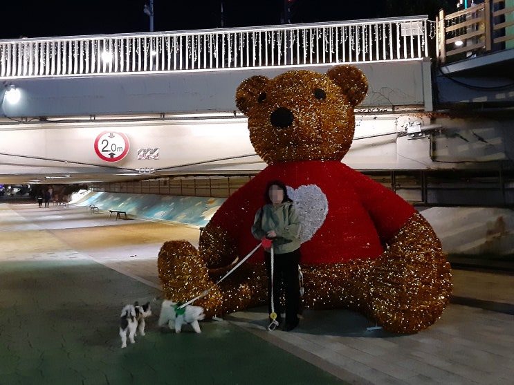 2024년11월4일 - 『<b>별빛내린천</b>』에 '곰 조형물'과 '경사로... 