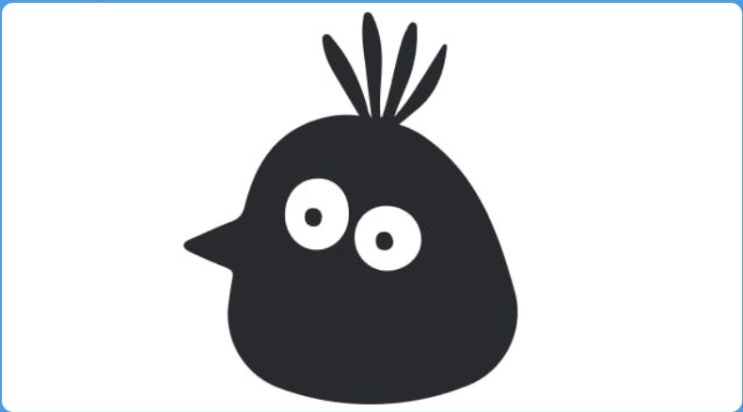  Bird 새소식들 31랩?