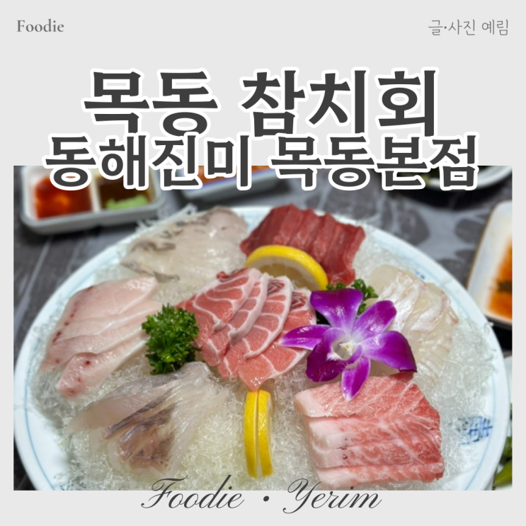  목동 횟집 퀄리티 좋은 참치 동해진미 목동본점