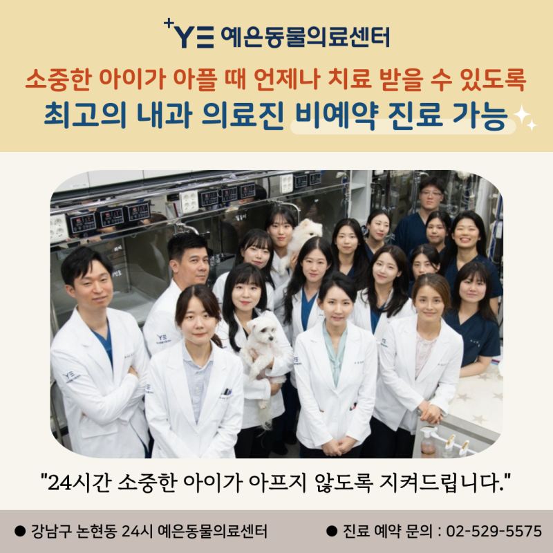 강남 24시 예은동물병원 최고의 의료진에게 '비예약 내과 진료 가능'