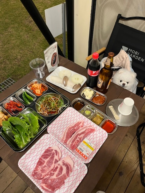  서산 애견동반 단체모임도 가능한 글램핑 느낌 바베큐! (예약, 주차)