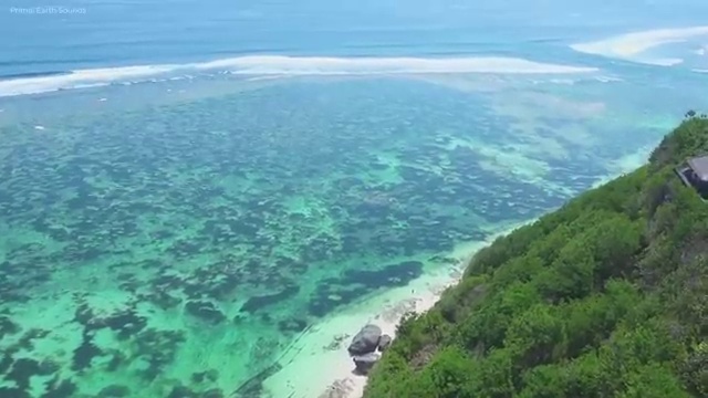  바리스타2급자격증 , 바리스타 자격증 2주 만에 합격한 전략 및 향후 전망