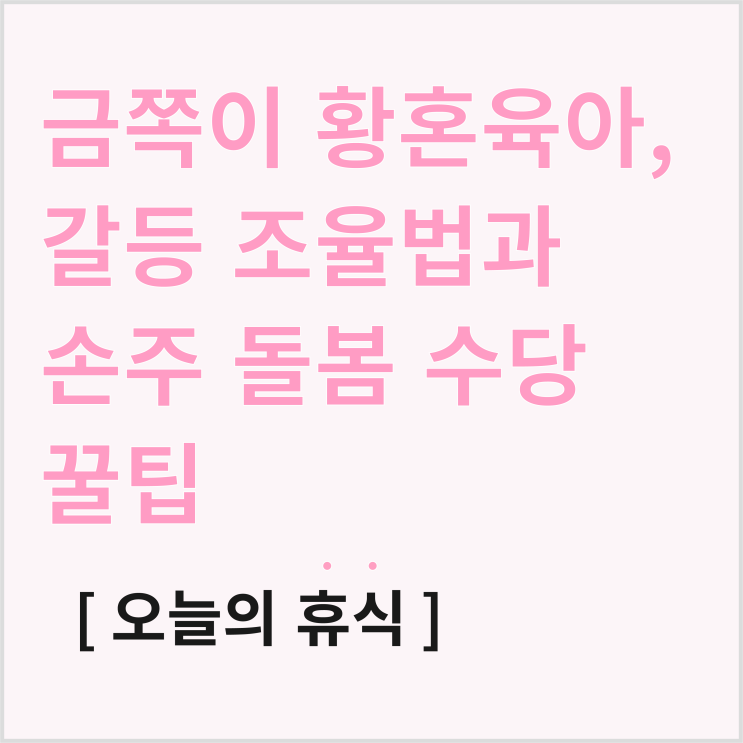  오은영 프로그램 금쪽이 황혼육아, 갈등 조율 방법과 손주 돌봄 수당
