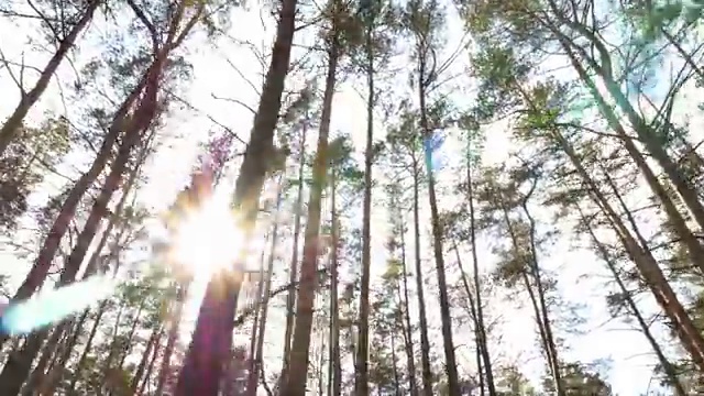  어린이안전지도사 , 안전지도사 자격증 합격한 전략 보고가세요