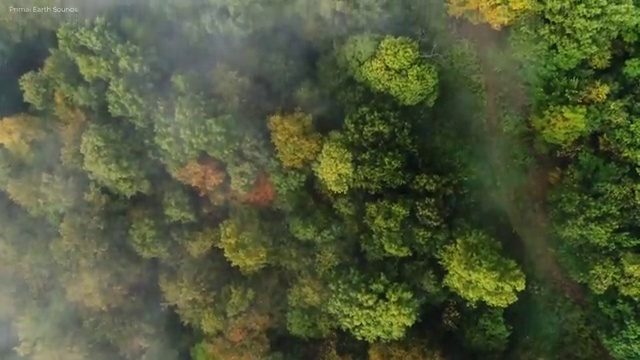  병원서비스총괄매니저 연봉 , 병원서비스총괄매니저 자격증 응시자격 없이 취득했던 후기 , 취업 전망