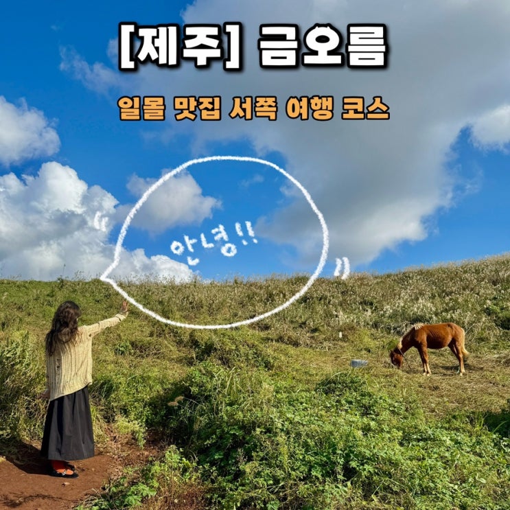  가을 제주 서쪽 일몰 여행 | 금오름 금악오름 | 소요시간 주차장 포토스팟