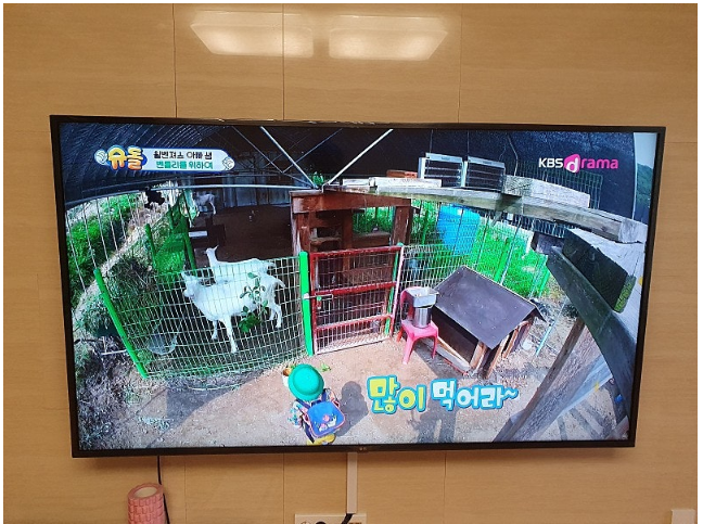  엘지 LG 소호 인터넷 CCTV 설치 무인 빨래방!
