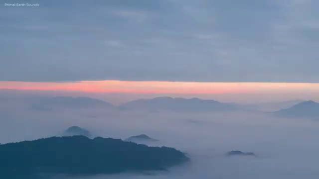  화재감식평가기사 응시자격 화재감식평가기사 시험응시자격 온라인 수업으로 쉽고 빠르게 성공한 과정