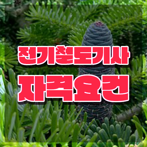  전기철도기사필기 전기철도기사 시험응시자격 학점은행제로 편하게 완료한 팁