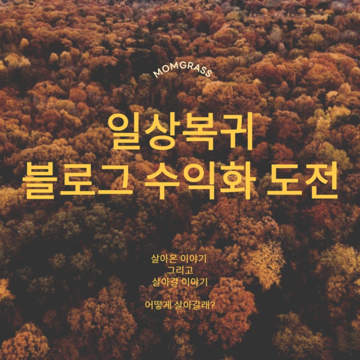  뇌출혈 후 건강하게 일상으로 돌아와 새로운 인생 도전 _ 블로그수익화로 천만원 벌기