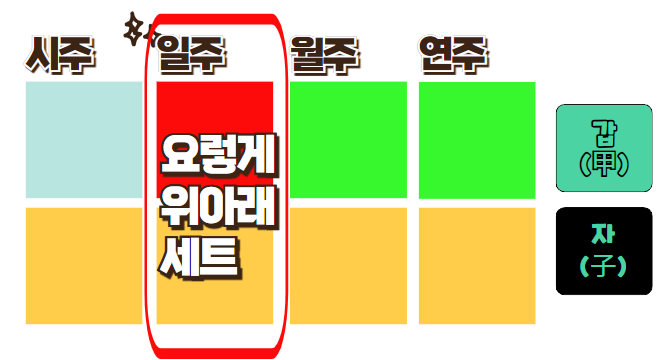  갑자일주, 갑목일간. 2025년 을사년은?