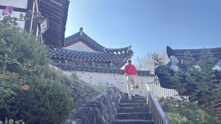  당일치기 대전여행, 성심당투어 자전거대여 도산서원 대선칼국수