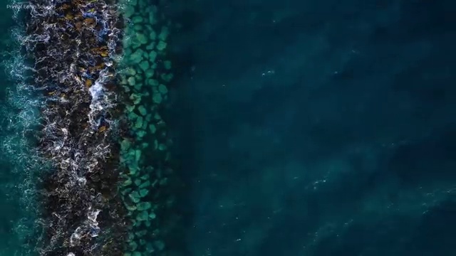  기술 자격증 추천 , 분노조절상담지도사 관련학과 아니어도 온라인 수업만으로 빠르게 준비했던 꿀팁 모음