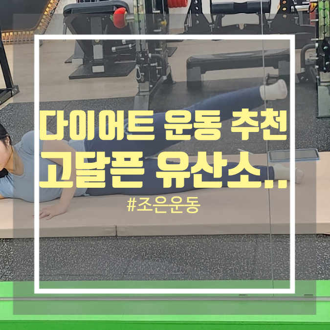 논현역pt 추천 조은운동 다이어트 운동 추천 논현역pt 추천 조은운동 다이어트 운동 추천