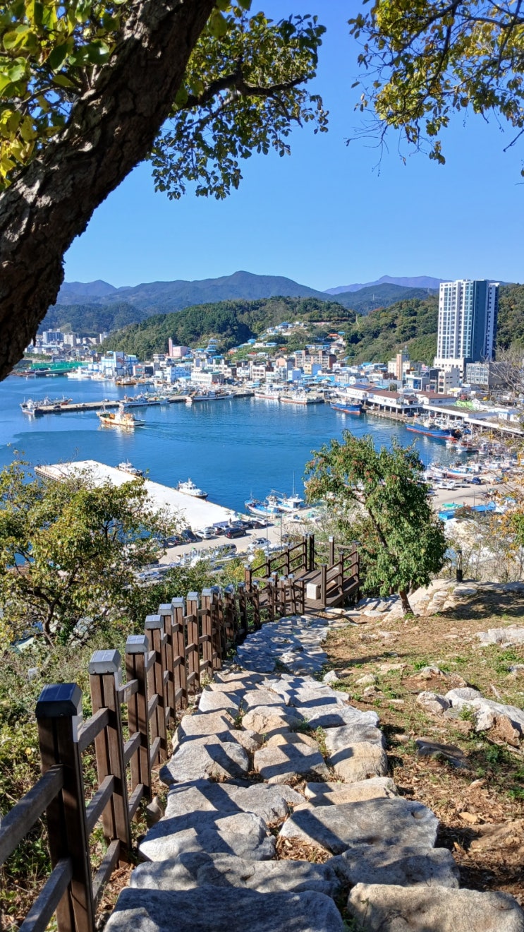  [해파랑길/15일차]해파랑길의 의미 24코스 울진 후포 가볼만한 곳 후포근린공원 23코스 후기