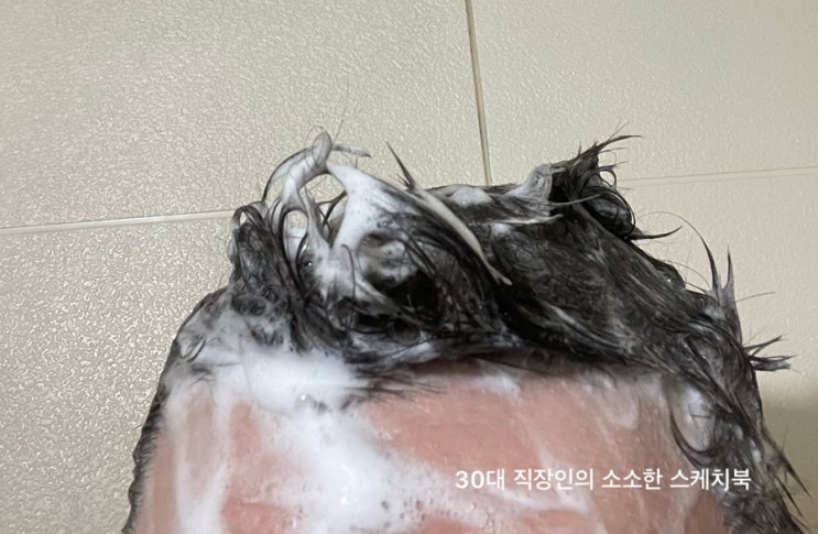  지성 비듬샴푸 추천 블라세아 세보리아 샴푸 깔끔한 세정력이 돋보이는 미용실 쿨샴푸