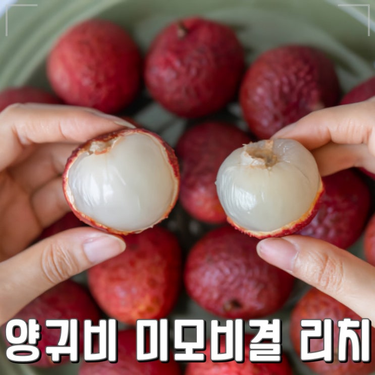 양귀비의 피부미용의 비결은 '리치'