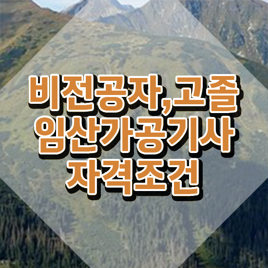  임산가공기사 준비물 임산가공기사 응시조건 인강만 듣고 빠르게 완료한 노하우