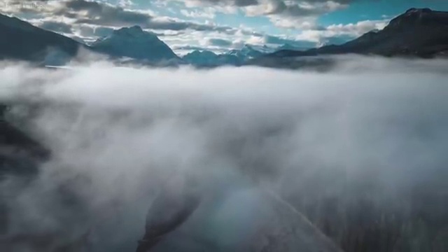  부동산추이 , 부동산자산관리전문가 부동산자산관리사 준비 과정 및 취득 후 전망