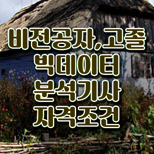  빅데이터 분석기사 2024 , 빅데이터분석기사 응시자격 집에서 온라인으로 쉽고 빠르게 성공한 노하우