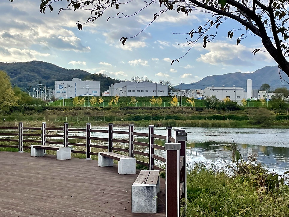 등대지 사진 2