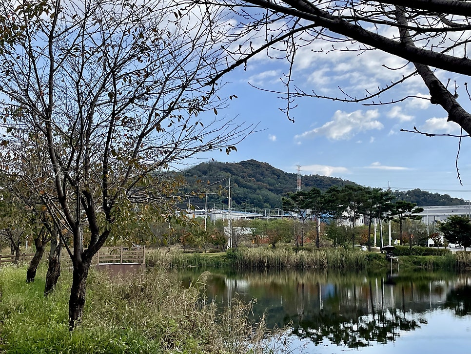 등대지 사진 6