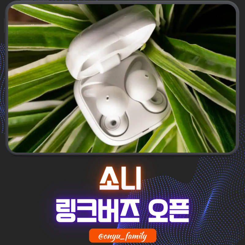 소니 링크버즈 오픈 (Sony Linkbuds Open) 오픈형 이어폰 리뷰