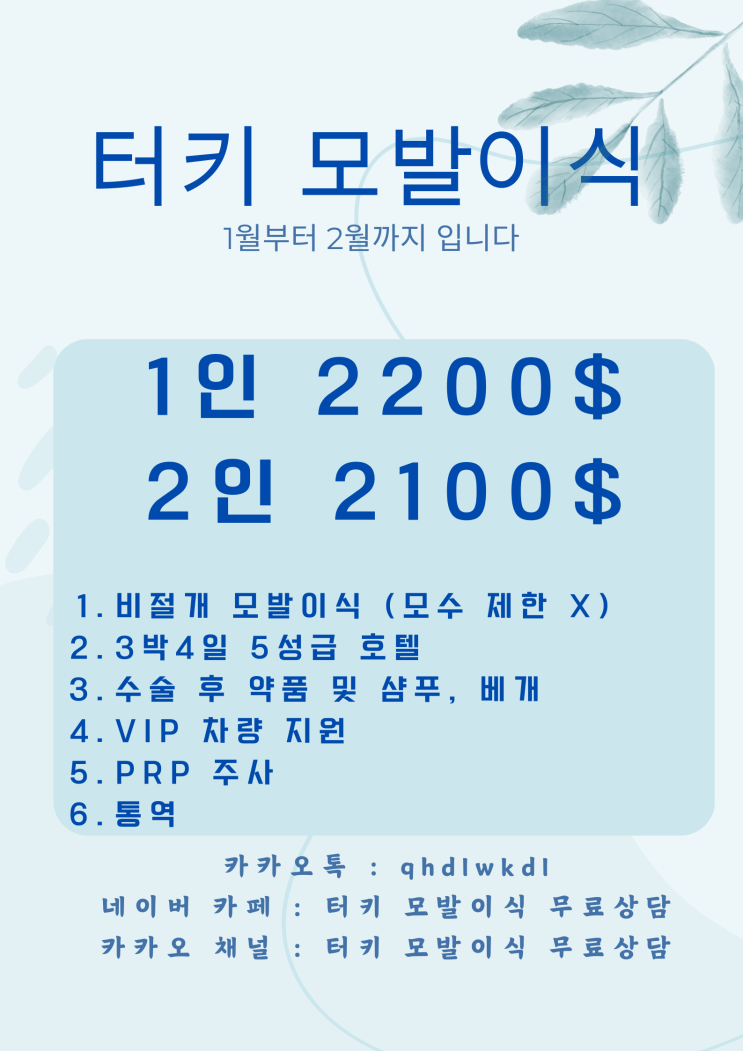  2025년 터키 모발이식 할인 & 부산 방문