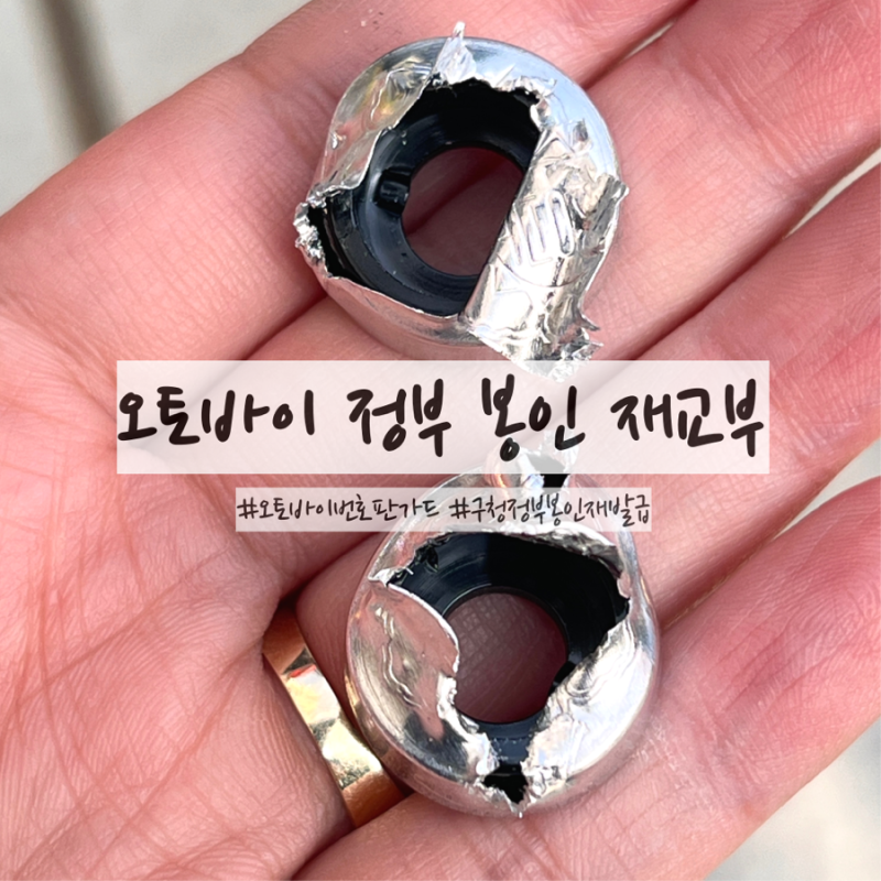 수원 오토바이 번호판 가드 봉인 볼트 구매 후 장착한 후기