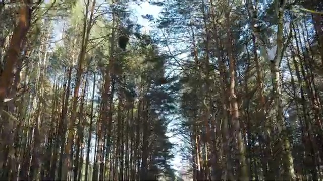  아동 심리상담 자격증 , 심리상담사 자격증 쉽고 빠르게 취득한 방법 및 활용 방법