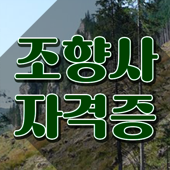 서울가성비향수공방 , 한달 만에 조향사 취득한 노하우 궁금증 해결