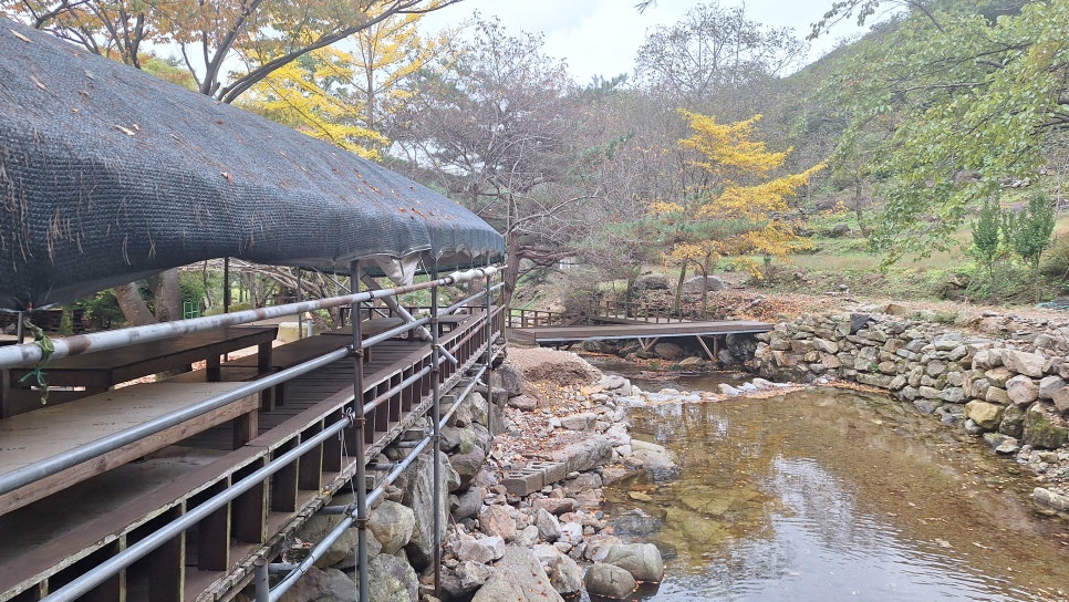 해인산장식당 사진 1