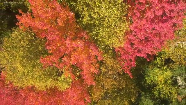  사회복지 공무원 교재 , 사회복지사2급 조건이 안돼도 독학으로 빠르게