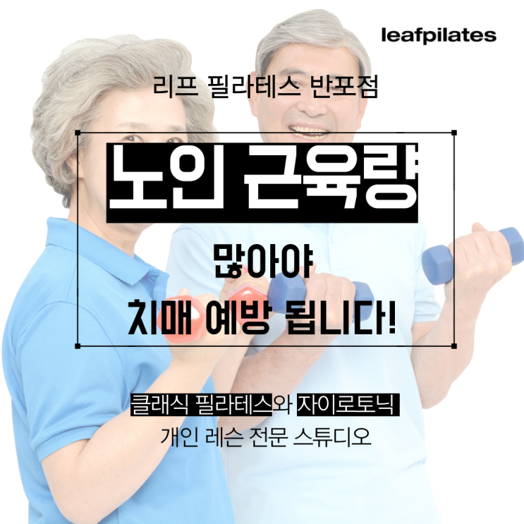  [원베일리 필라테스] 치매 예방하려면 근육량 늘려야 해요/ 반포필라테스 리프