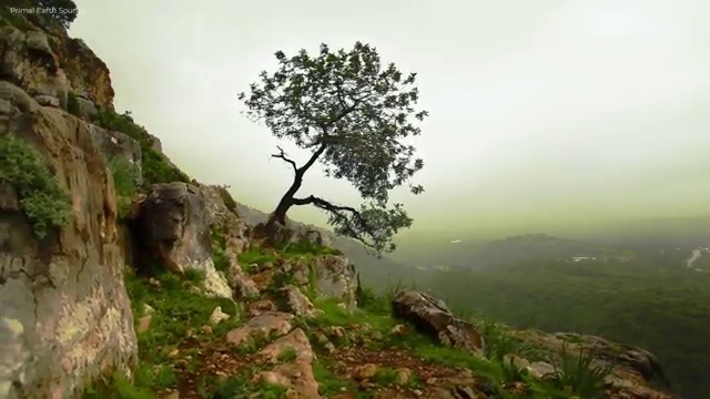  , 부동산권리분석사 취득했던 후기 및 온라인 과정