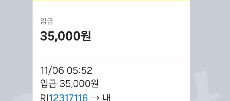 RI 에서 입금된 돈의 정체