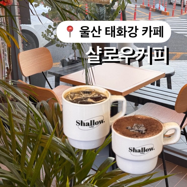  울산 태화강 카페 샬로우커피 애견동반 핫플