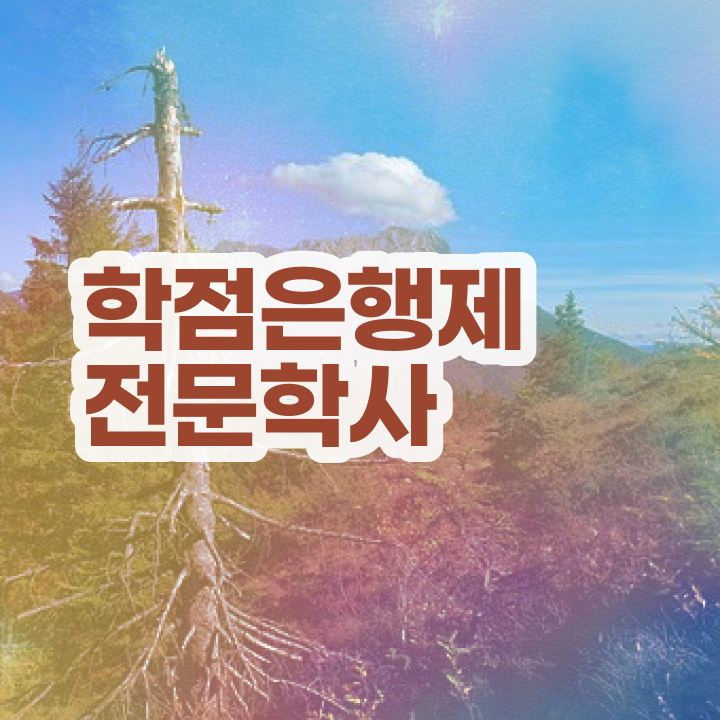  학점은행제 학습자등록 , 학점은행제 전공 온라인 과정 100%로 빠르게 완료한 팁