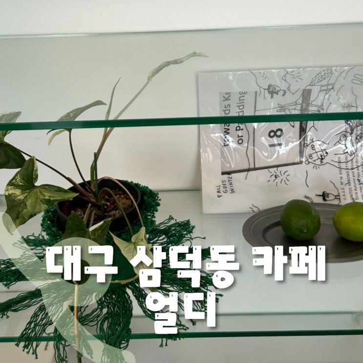  대구 삼덕동 카페 추천 얼디