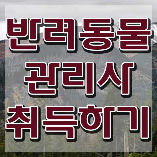  반려동물식품관리사 , 반려동물관리사 자격증 온라인으로 학습한 후기 궁금증 해결