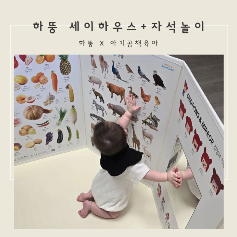 블로그 후기 사진