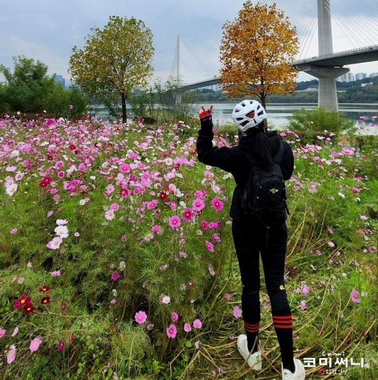 광진교 한강변 자전거도로 구리 둘레길 구리한강공원~팔당대교 라이딩 (구리한강시민공원 코스모스 대단지 꽃밭 산책로) 광진교 한강변 자전거도로 구리 둘레길 구리한강공원~팔당대교 라이딩 (구리한강시민공원 코스모스 대단지 꽃밭 산책로)