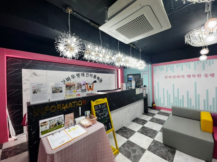  노원애견미용학원 이바우펫 일반학원 차이 살펴보기