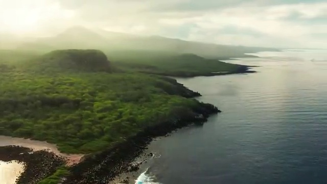  산림기사채용 , 산림기사 시험응시조건 온라인 과정으로 간편하게 완료한 과정